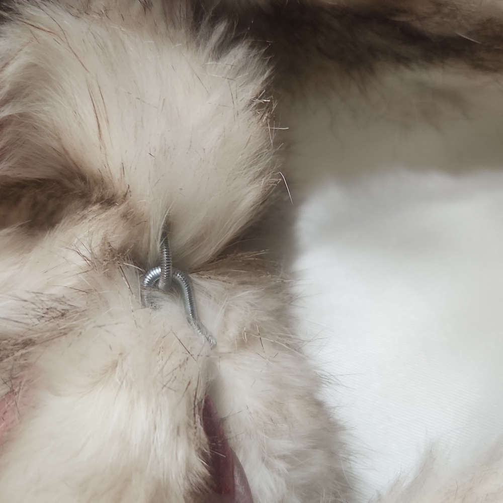 Cream Multi Colored Rabbit Fur Coat - Picture 12 of 12